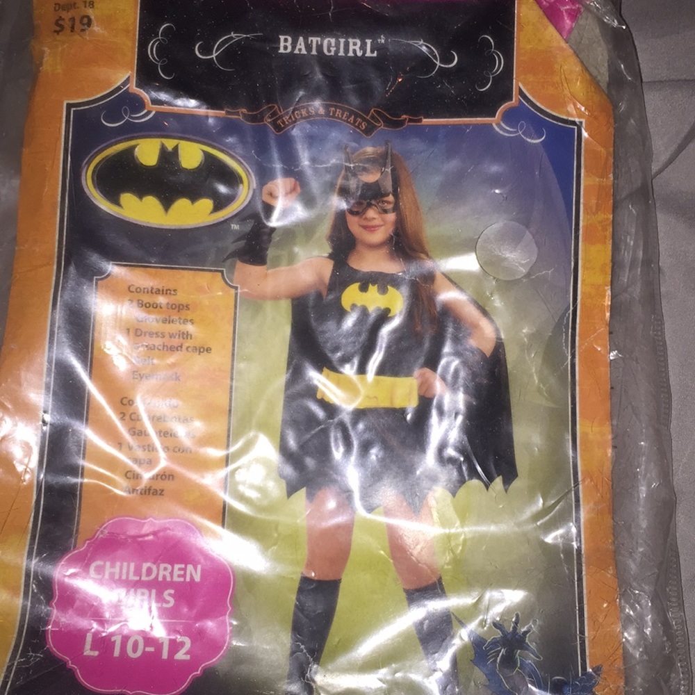 Batgirl costume